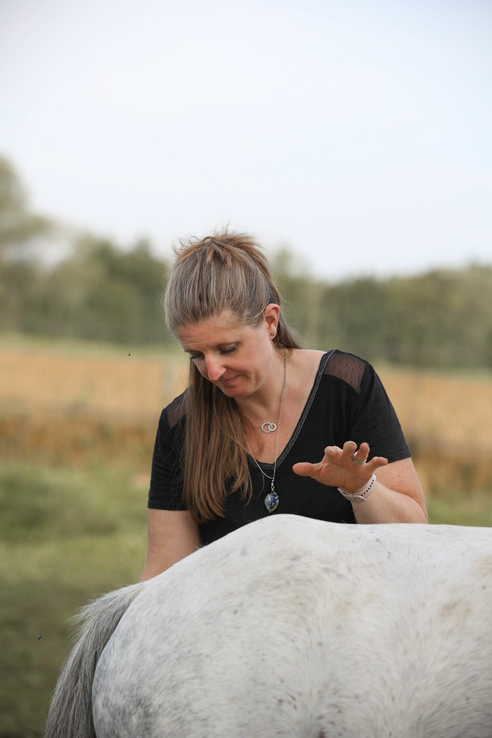 Clémence Perrin | Massage énergétique animalier