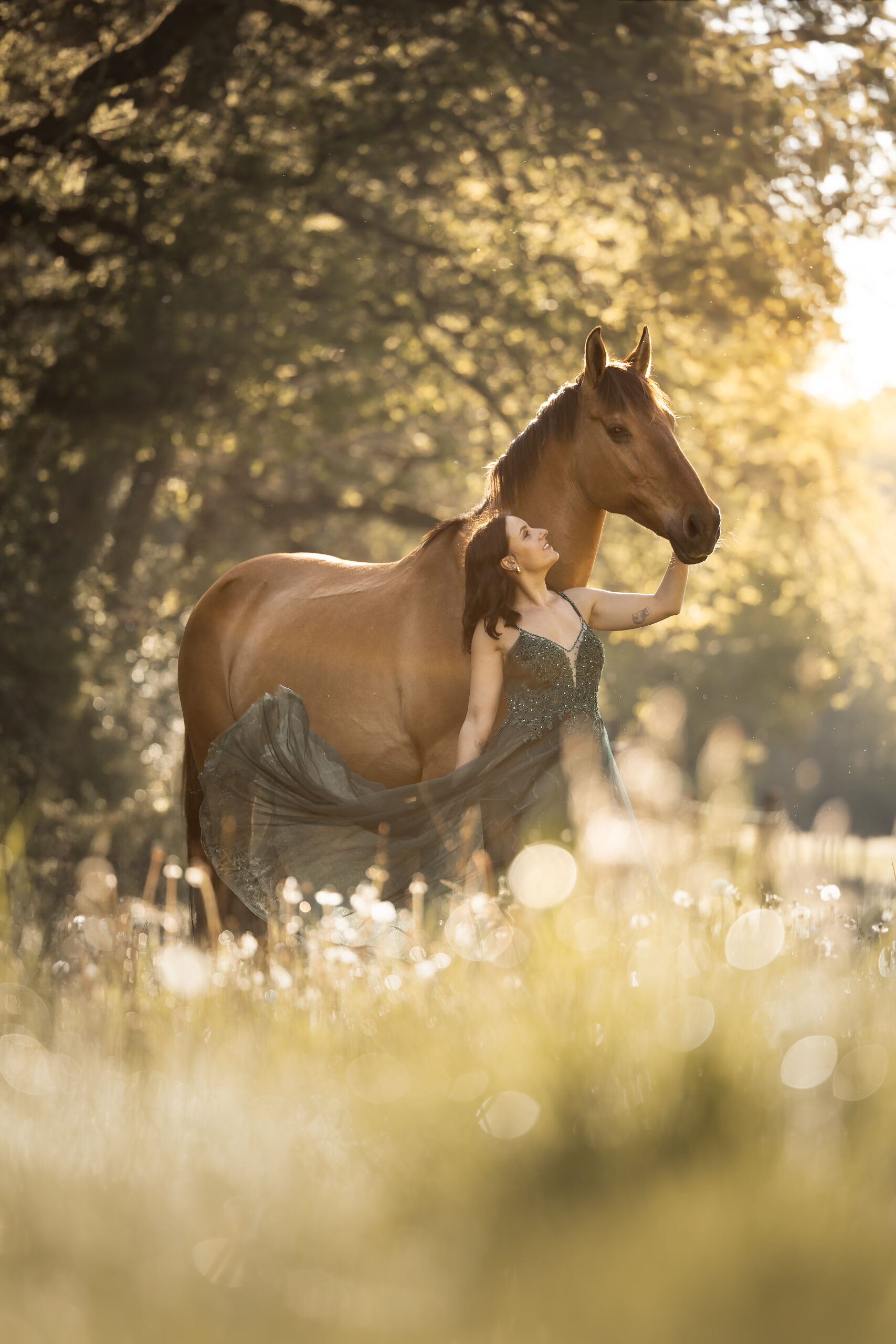 IMG_8516-HD(sans logo)